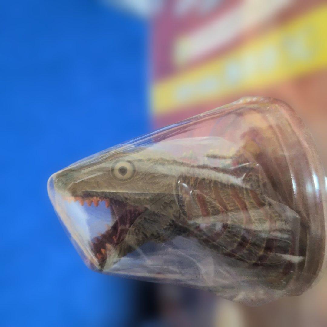 一番くじ A賞 ゴジラヘッドマグネット 全3種
